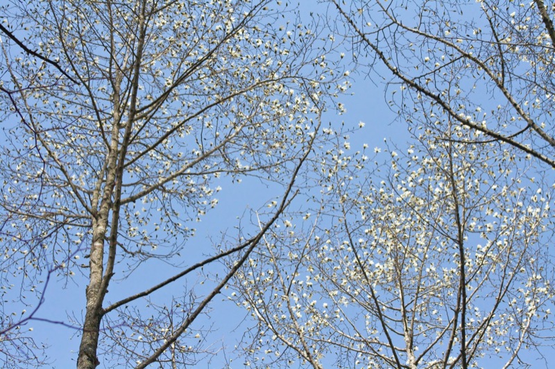 20130418-100850