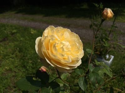 20150626-162944 20150626-162944